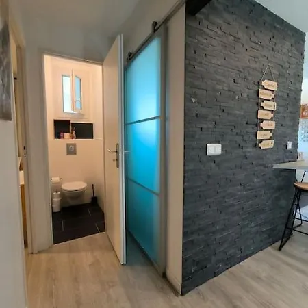 Bel Appartement-foire Expo-4 Pers-parking Gratuit * Billere