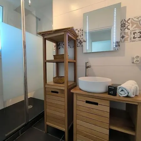 Bel Appartement-foire Expo-4 Pers-parking Gratuit Billere